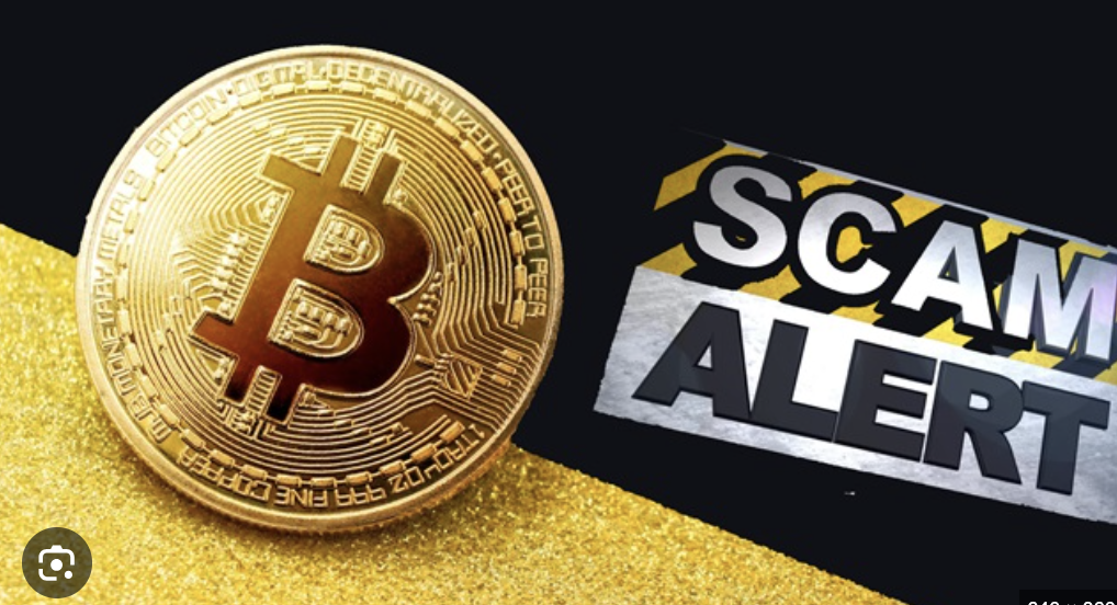 The Real Story Behind Fxsolaris.com